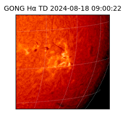 gong - 2024-08-18T09:00:22