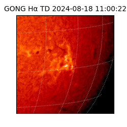 gong - 2024-08-18T11:00:22