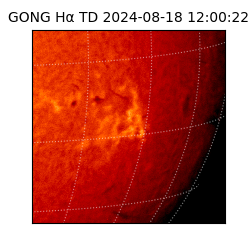 gong - 2024-08-18T12:00:22