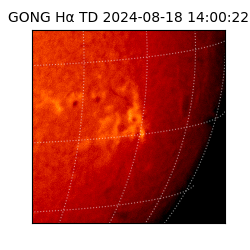 gong - 2024-08-18T14:00:22