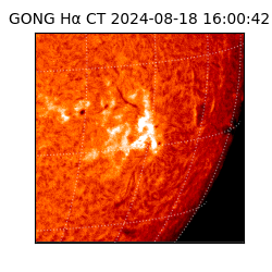 gong - 2024-08-18T16:00:42