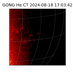 gong - 2024-08-18T17:03:42