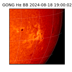 gong - 2024-08-18T19:00:02