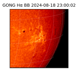 gong - 2024-08-18T23:00:02