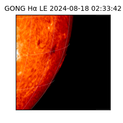 gong - 2024-08-18T02:33:42