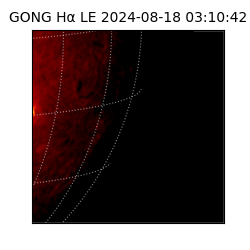 gong - 2024-08-18T03:10:42