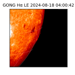 gong - 2024-08-18T04:00:42