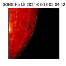 gong - 2024-08-18T05:04:42