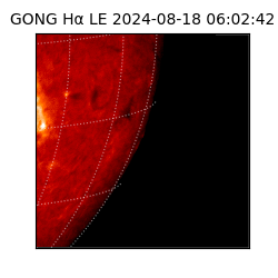 gong - 2024-08-18T06:02:42