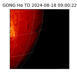 gong - 2024-08-18T09:00:22