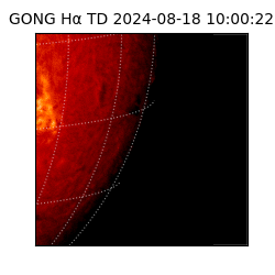 gong - 2024-08-18T10:00:22