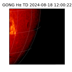 gong - 2024-08-18T12:00:22