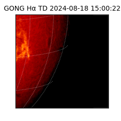 gong - 2024-08-18T15:00:22