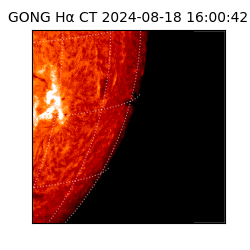 gong - 2024-08-18T16:00:42