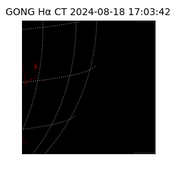 gong - 2024-08-18T17:03:42