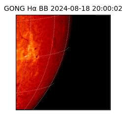 gong - 2024-08-18T20:00:02