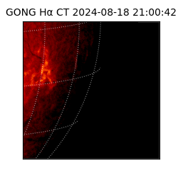 gong - 2024-08-18T21:00:42