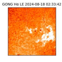 gong - 2024-08-18T02:33:42