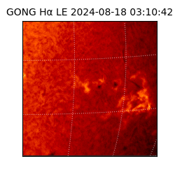 gong - 2024-08-18T03:10:42