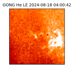 gong - 2024-08-18T04:00:42