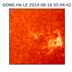 gong - 2024-08-18T05:04:42