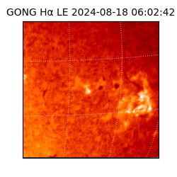 gong - 2024-08-18T06:02:42