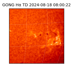 gong - 2024-08-18T08:00:22