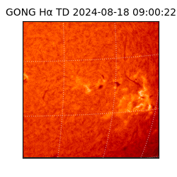 gong - 2024-08-18T09:00:22