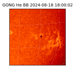 gong - 2024-08-18T18:00:02