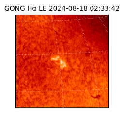 gong - 2024-08-18T02:33:42