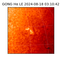 gong - 2024-08-18T03:10:42
