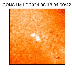gong - 2024-08-18T04:00:42