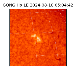 gong - 2024-08-18T05:04:42