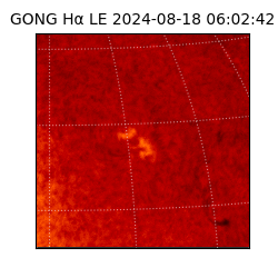 gong - 2024-08-18T06:02:42