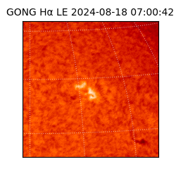 gong - 2024-08-18T07:00:42