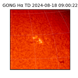 gong - 2024-08-18T09:00:22