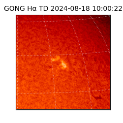 gong - 2024-08-18T10:00:22