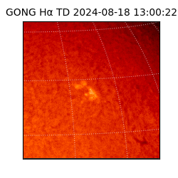 gong - 2024-08-18T13:00:22