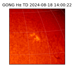 gong - 2024-08-18T14:00:22