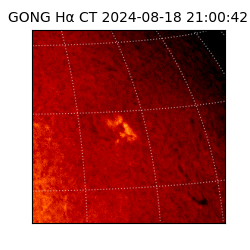 gong - 2024-08-18T21:00:42