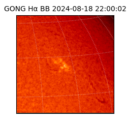 gong - 2024-08-18T22:00:02