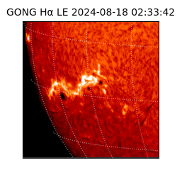 gong - 2024-08-18T02:33:42