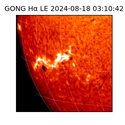 gong - 2024-08-18T03:10:42