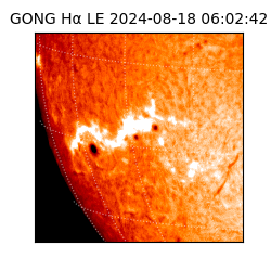 gong - 2024-08-18T06:02:42