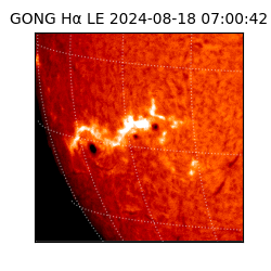 gong - 2024-08-18T07:00:42
