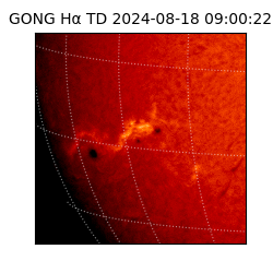 gong - 2024-08-18T09:00:22