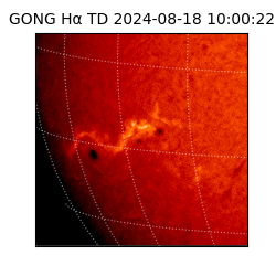 gong - 2024-08-18T10:00:22