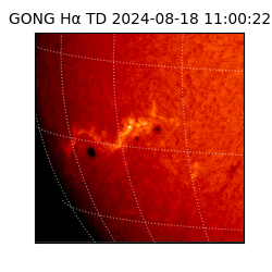 gong - 2024-08-18T11:00:22