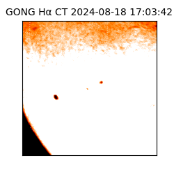 gong - 2024-08-18T17:03:42