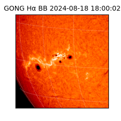 gong - 2024-08-18T18:00:02